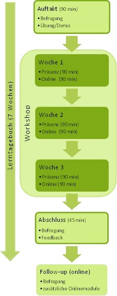 Workshopablauf